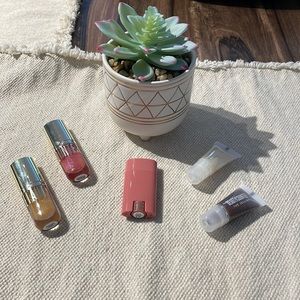 Beautycounter Lip Products